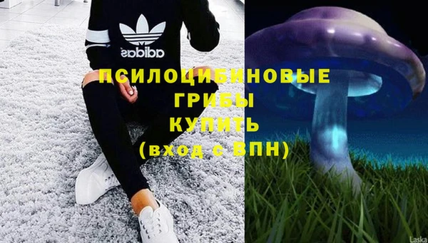 бутират Алзамай
