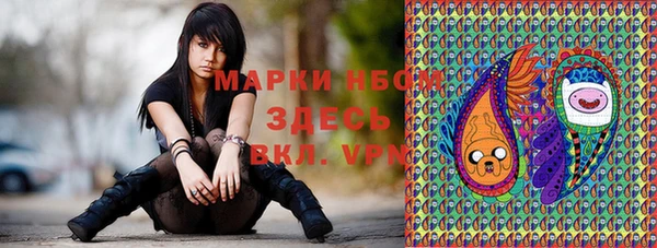 мяу мяу мука Пестово