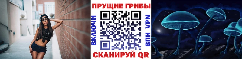 Псилоцибиновые грибы мухоморы  ссылка на мегу сайт  Комсомольск  сколько стоит 